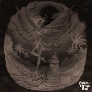 Sylphs of Tortuga Bay